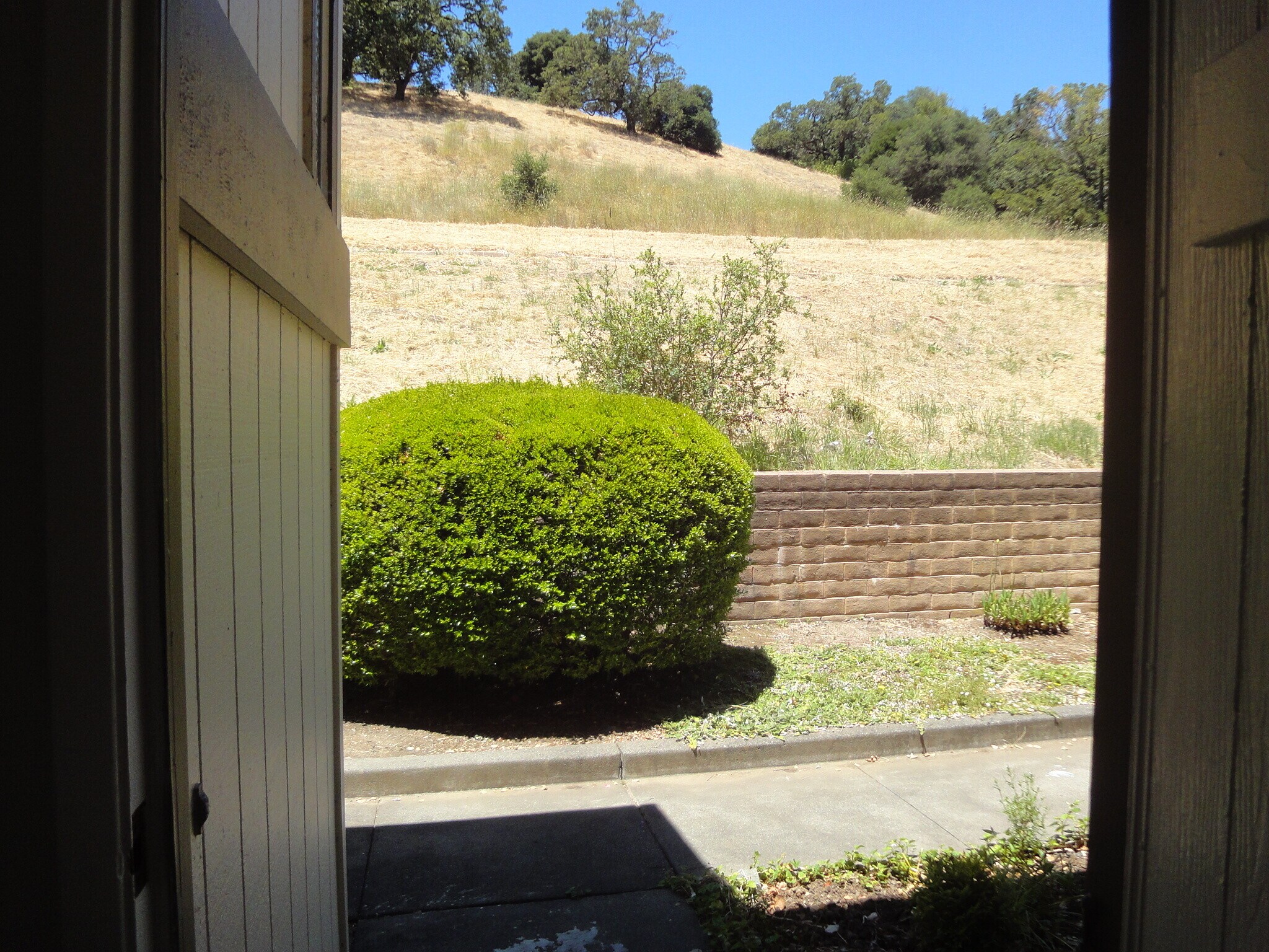 Building Photo - 13B Oliva Dr