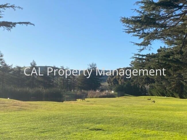 Building Photo - 2 Bed/ 2 Bath Condominium Coming Soon!