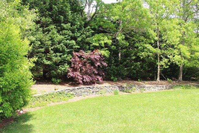 Building Photo - 46 Winsome Rd