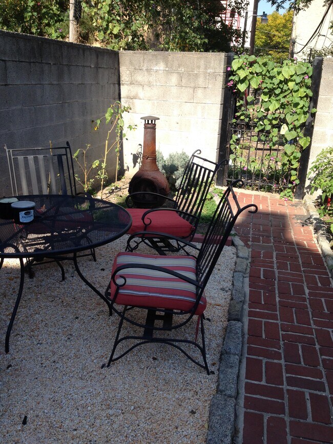 shared courtyard - 115 League St