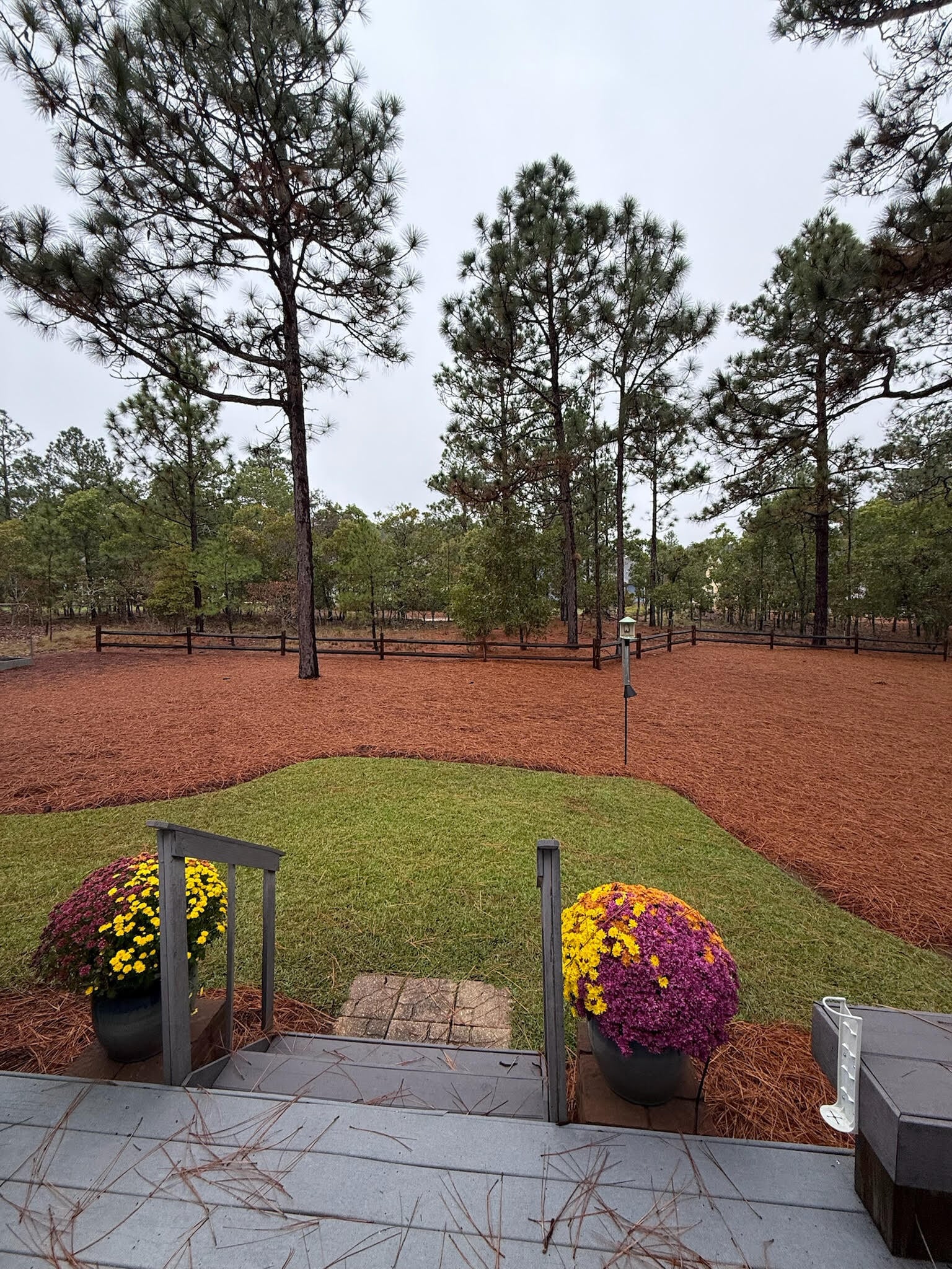 Building Photo - 107 Ritter Dr