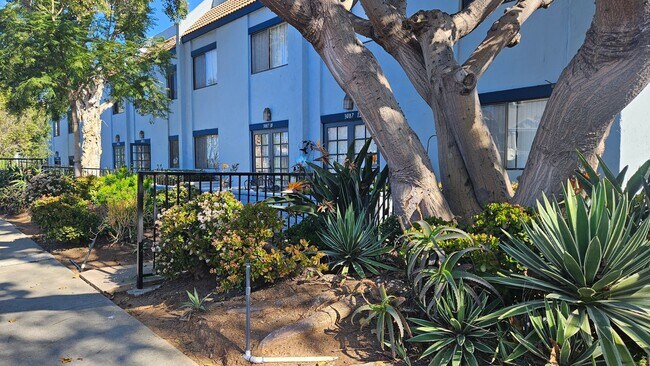 Building Photo - Beautiful 2BD 1.5BA Recently Remodeled Condo in Forest Park Plaza