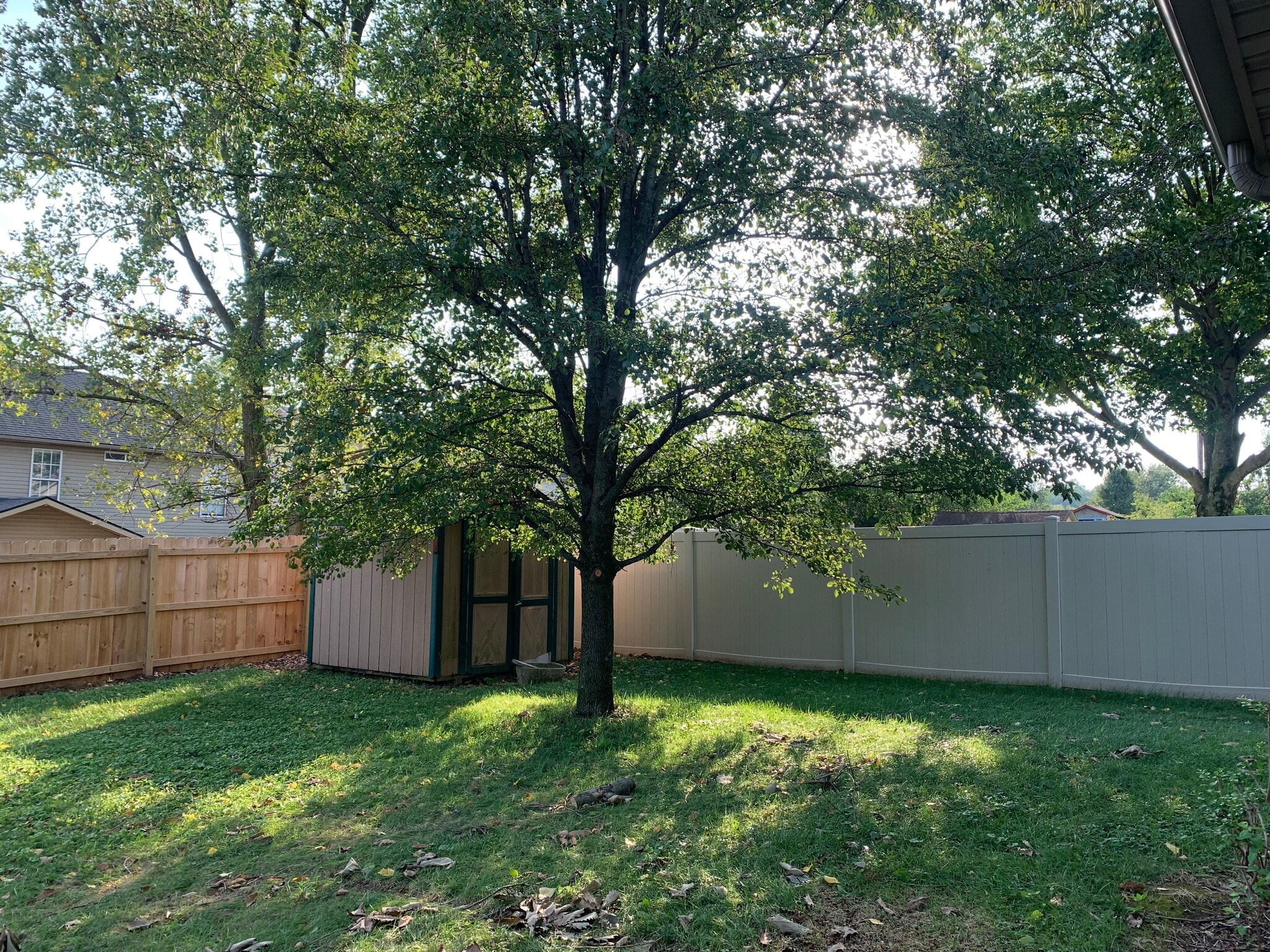 Building Photo - 213 Copperfield Ln