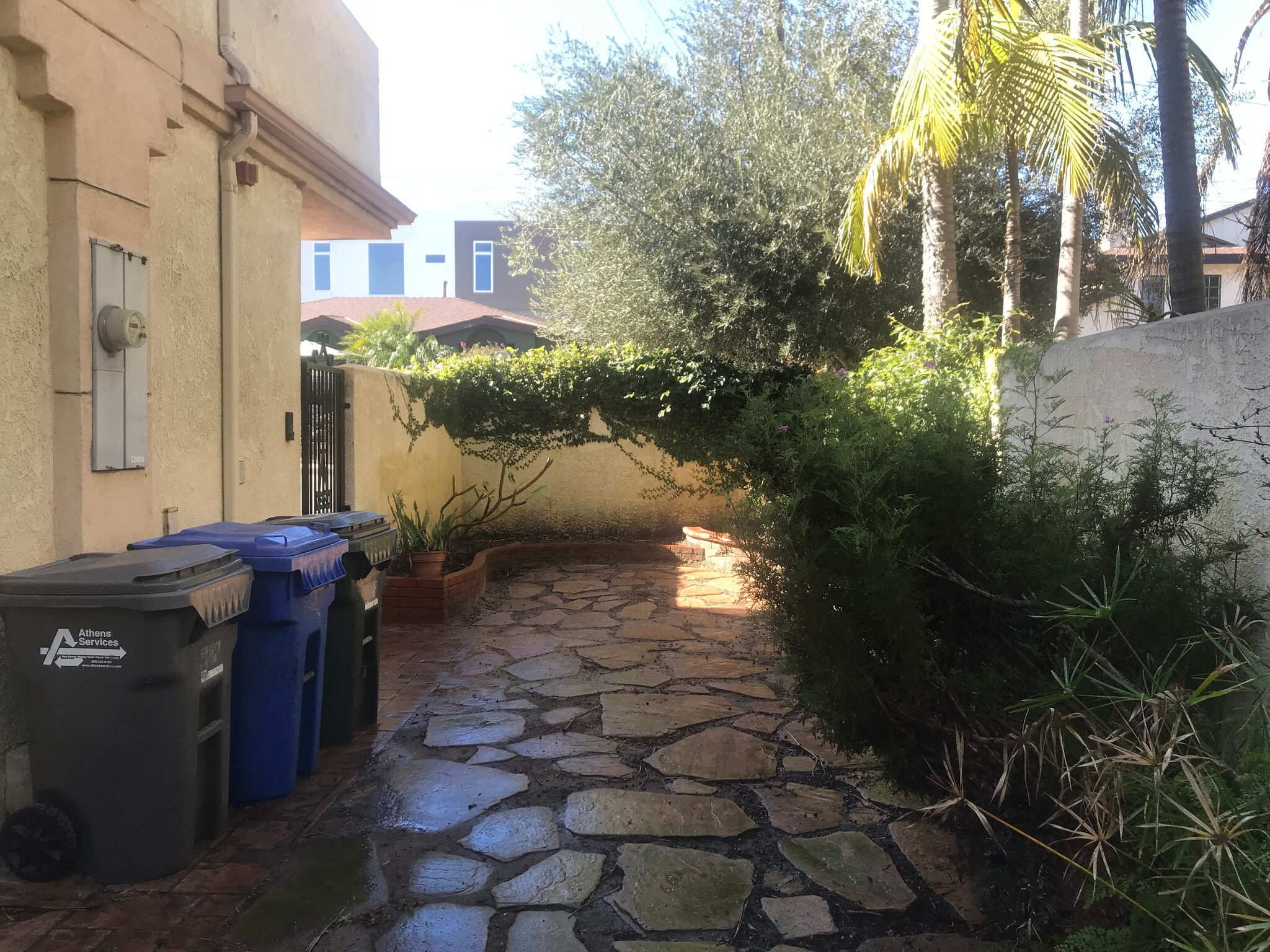 backyard - 1304 Mackay Ln