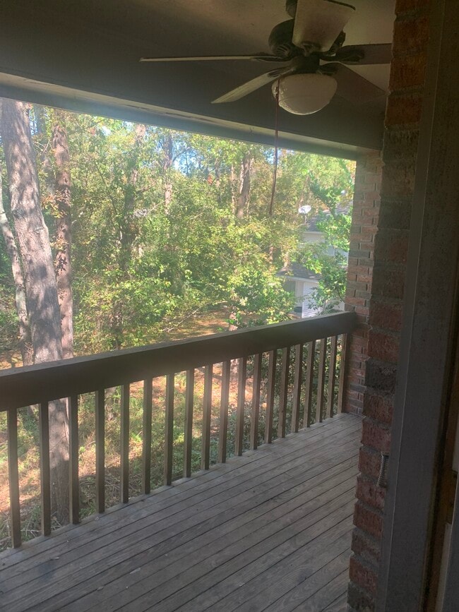 Balcony Area +Ceiling Fan+Electric Ports - 1736 Springwoods Lake Dr