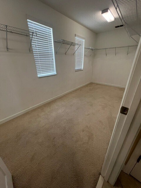 Building Photo - 7329 Auburnwood Ln