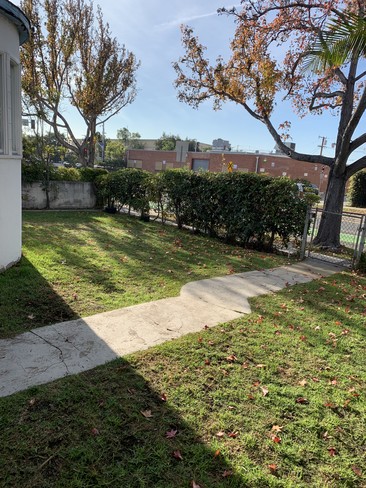 Huge front yard - 1543 11th St