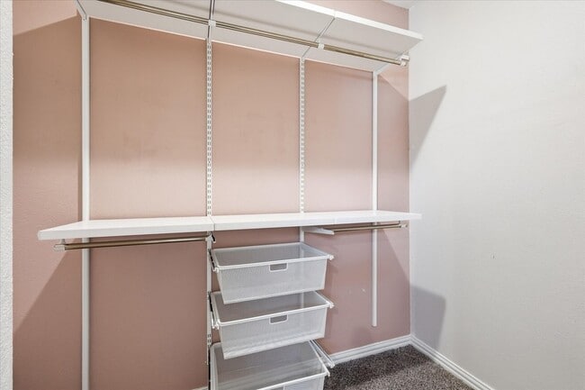 Building Photo - 2821 Bursera Ln