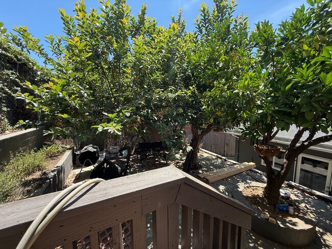 Building Photo - Now Leasing – 812 Merlin | $6,200/Month | ...