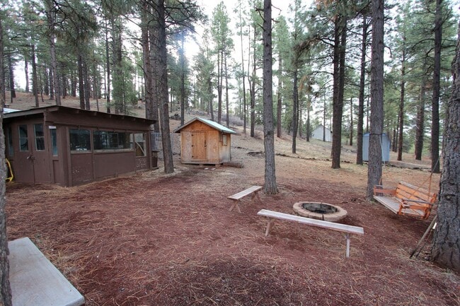 Building Photo - Unique Dome-Shaped Studio Surrounded by Ponderosa Pines With MOVE-IN Special! $300 off 1st month