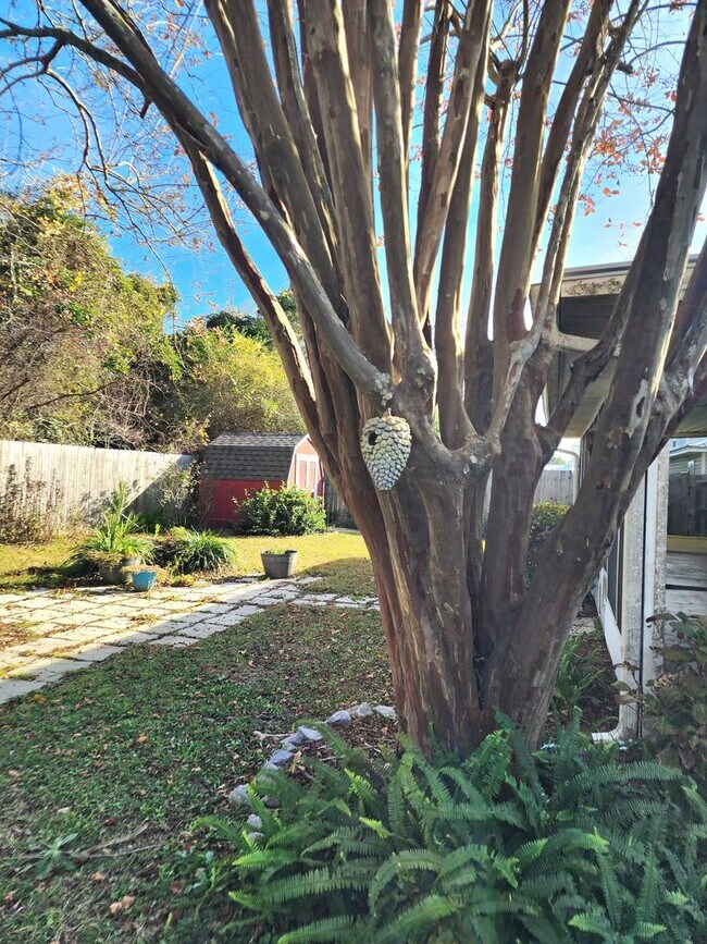 Building Photo - Adorable back yard in Gulf Shores - 3/2