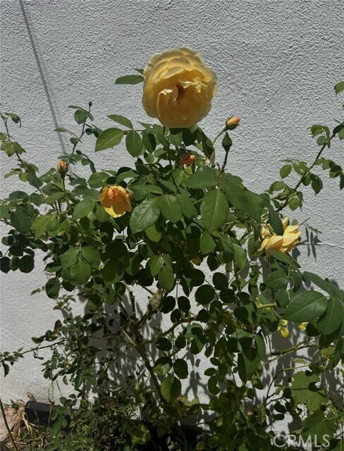 Building Photo - 17041 Escalon Dr