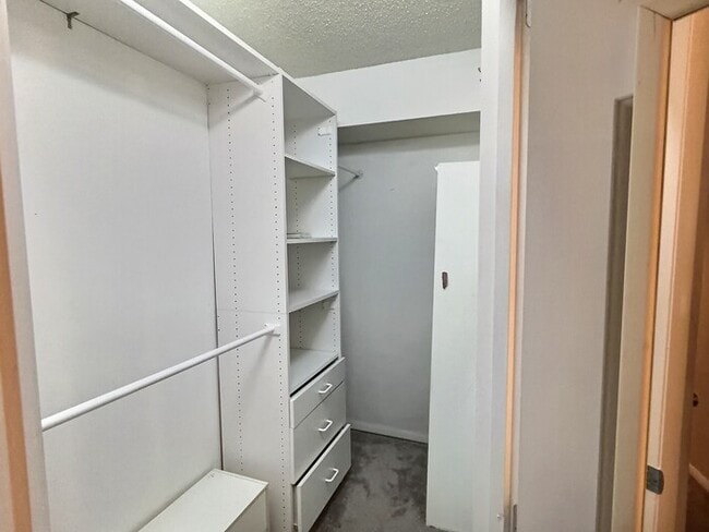 Building Photo - 3803 Chimney Ridge Pl