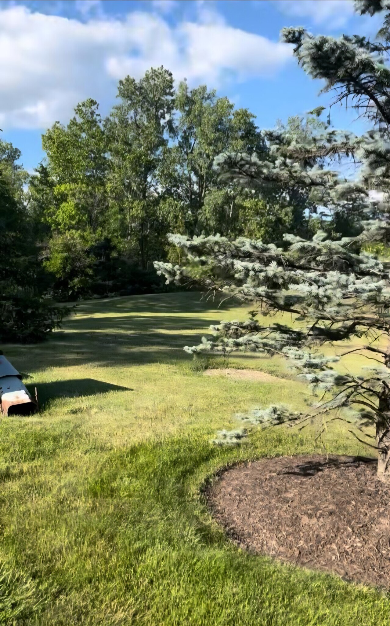 Building Photo - 233 Legends Creek Pl