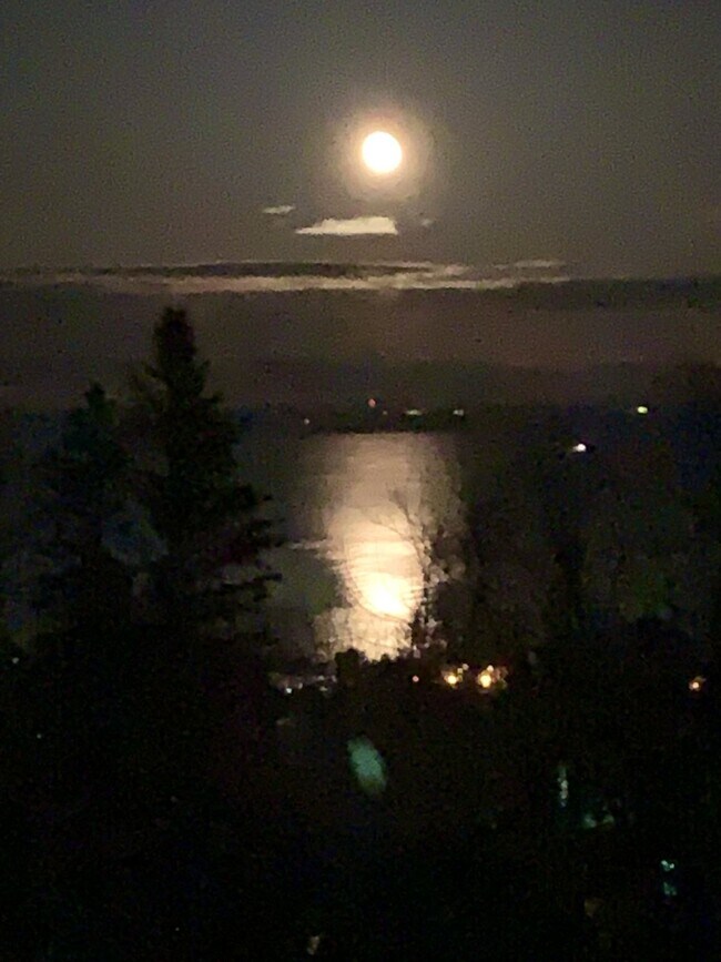 Building Photo - Experience life on Duluth's Skyline Parkway with breathtaking views of Lake Superior and the Dulu...