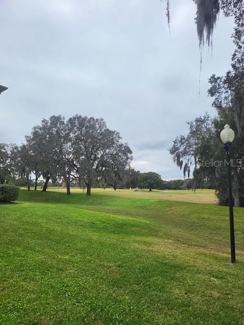 Building Photo - 1212 S Hiawassee Rd