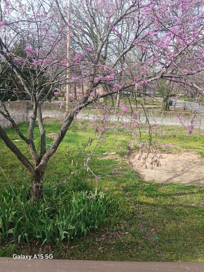 Building Photo - inviting 3-bedroom, 2-bath residence