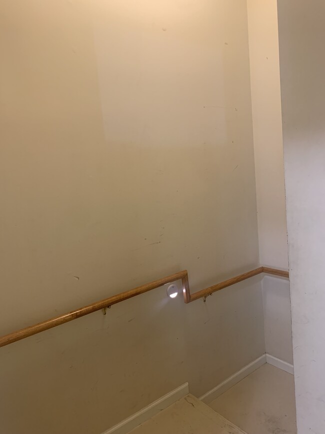 Stairs to Garage - 532 Lionshead Rd