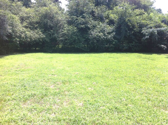 Building Photo - 3 Bedroom Brick Ranch in East Charlotte Fo...