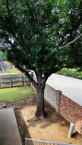 Building Photo - 5012 Winder Ct