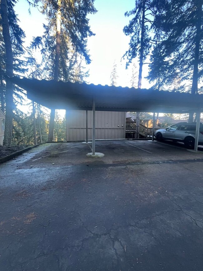 Building Photo - 2-Bedroom 2-Bathroom Condo in the Trees!!!!