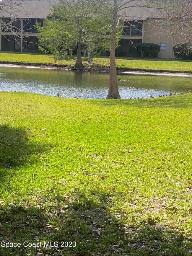 Building Photo - 290 Spring Dr