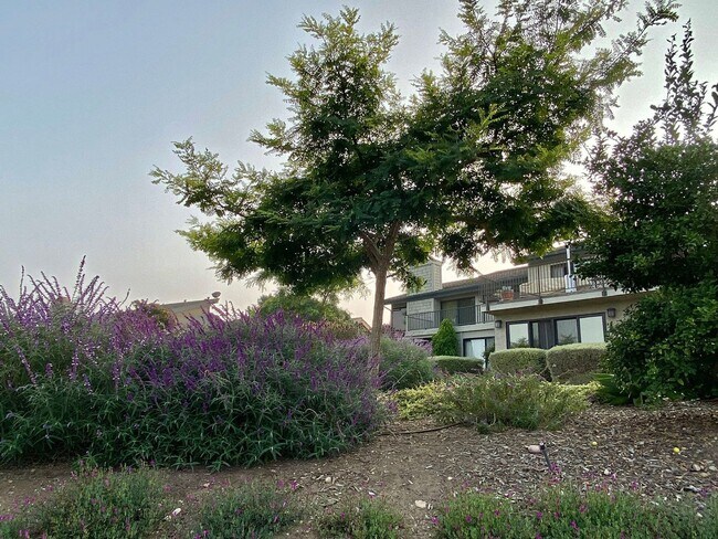Building Photo - 6667 La Jolla Scenic S Dr
