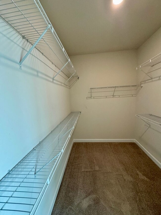 Building Photo - Beautiful 3BR/3.5BA Townhome in Rea Farms