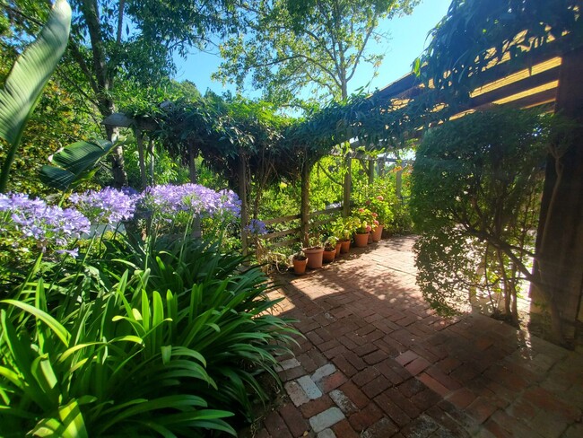 Building Photo - San Anselmo "French Country" Style Cottage