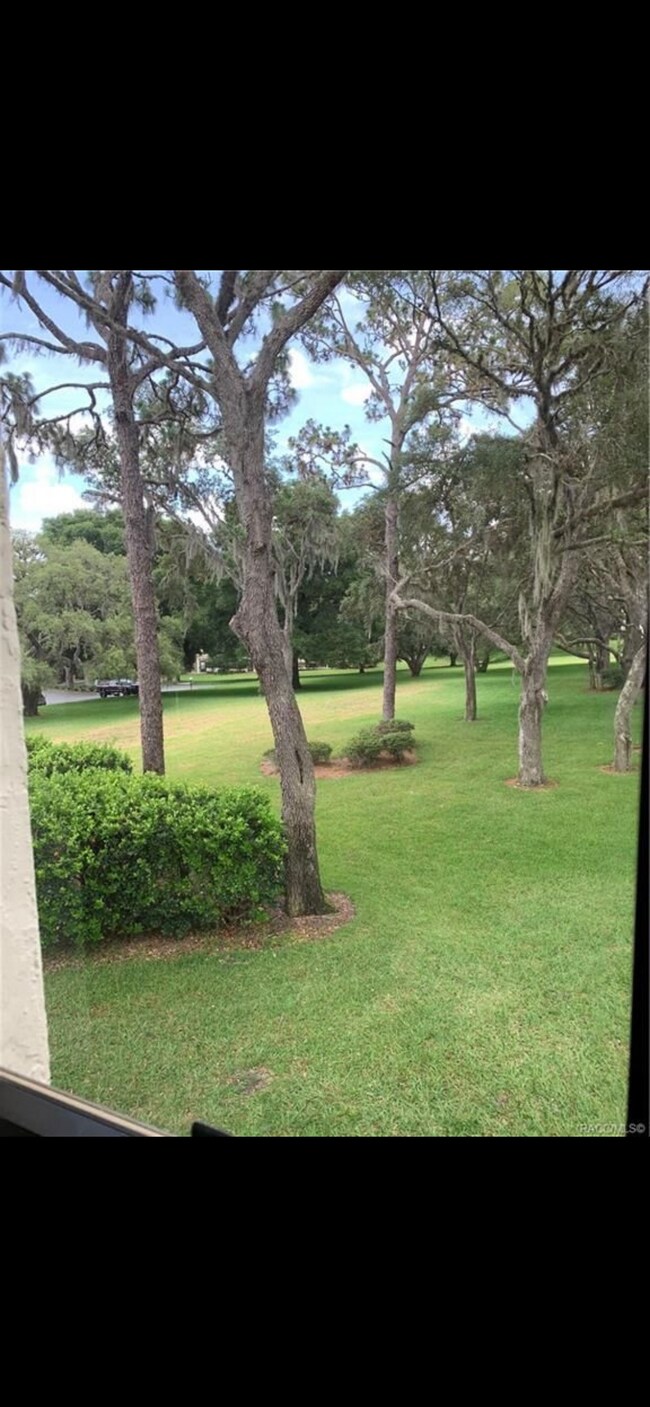 View from master and Florida room - 115 E Hartford St