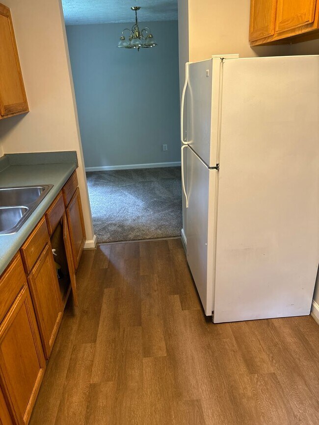 Building Photo - Newly Remodeled 3 Bedroom in East Asheville