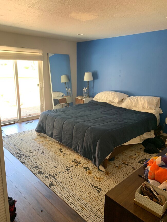 primary bedroom with connected bathroom - 20736 Will Scarlet Ln