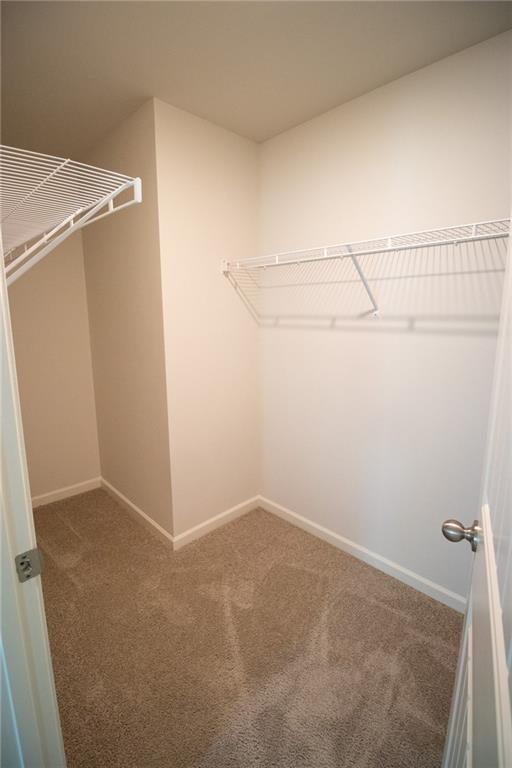 Building Photo - 69 Fonthill Cv