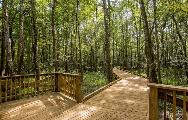 Building Photo - Brand-New Town Home in Shearwater with Resort-Style Amenities