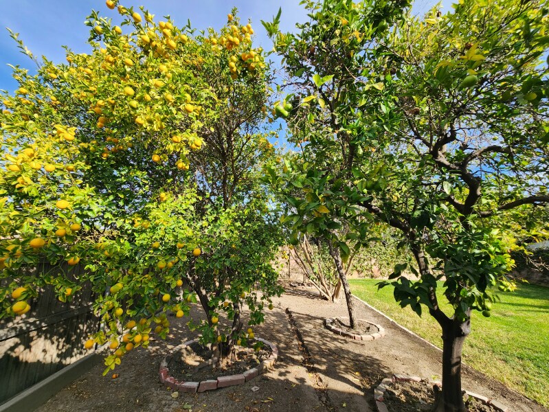 Building Photo - 3417 S Lowell St