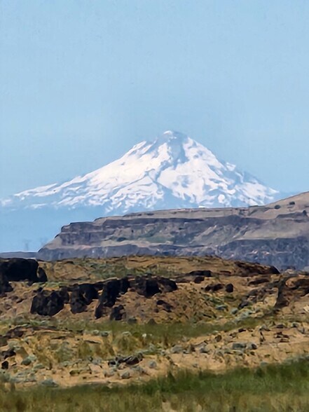 Building Photo - 710 Catskill St