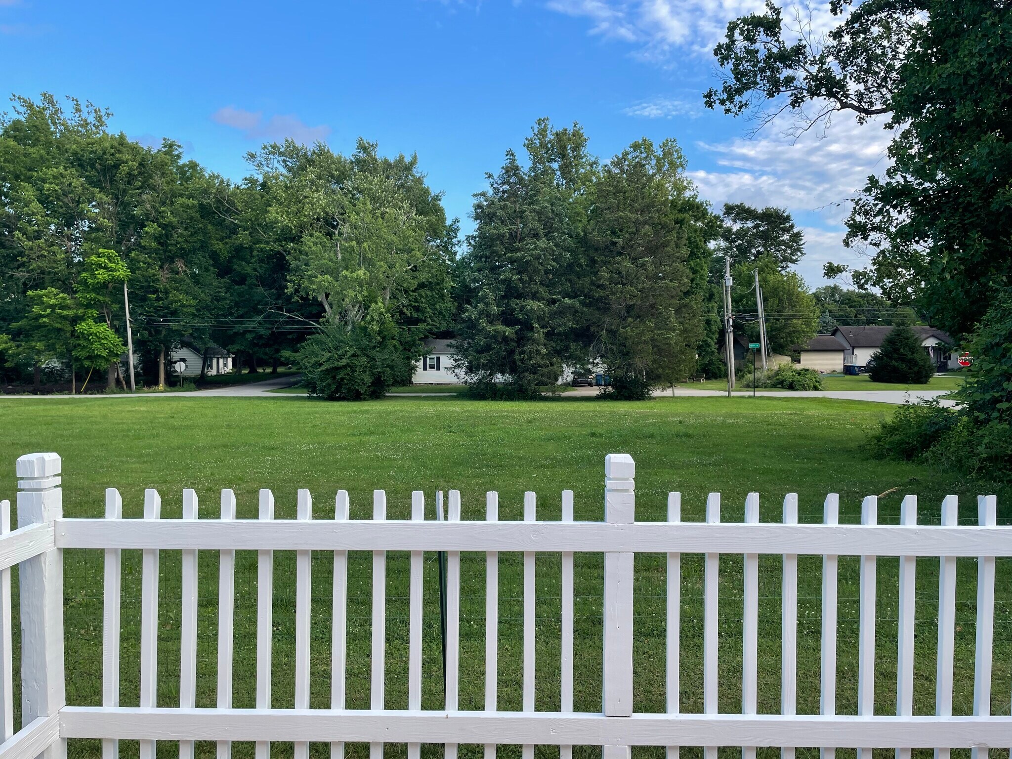 View from deck - 10521 Cornell Ave