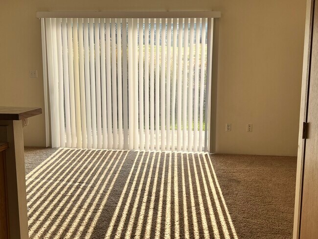 morning light in living room - 5557 Glenridge Way