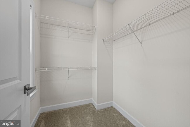 Building Photo - 7147 Starmount Ct