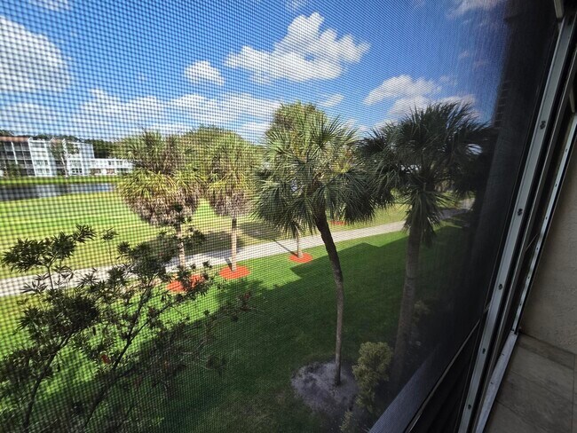 Building Photo - 1831 Sabal Palm Dr