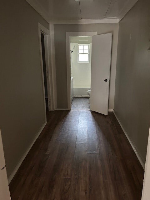 Building Photo - 111 Lazy Trail