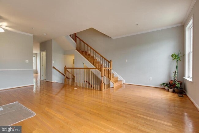 Building Photo - 11013 Apple Orchard Ct