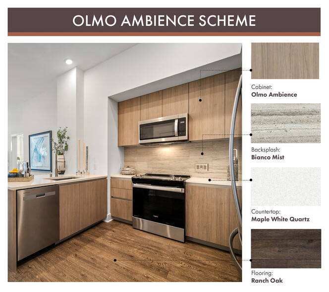 South End_Digital Scheme_OLMO Ambience - Hanover South End