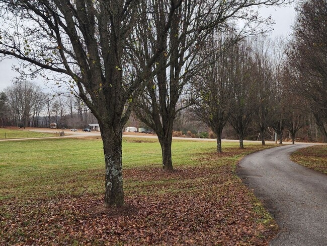 Building Photo - Saltwater Pool