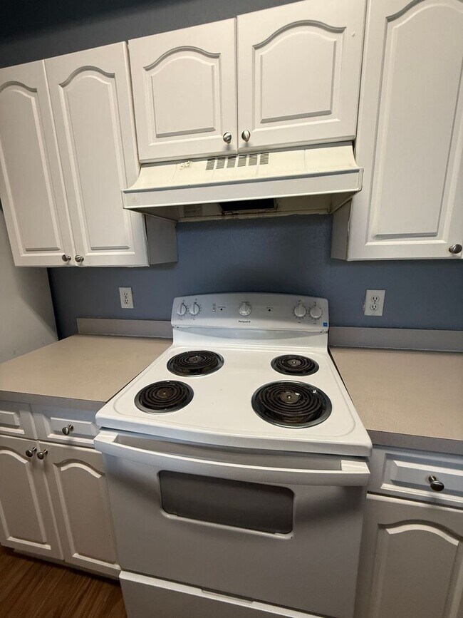 Building Photo - Newly painted Two Bedroom, Two Bathroom For Rent in New Tampa