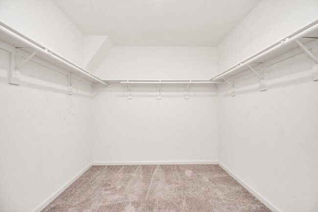Building Photo - 7810 Carrotwood Ct