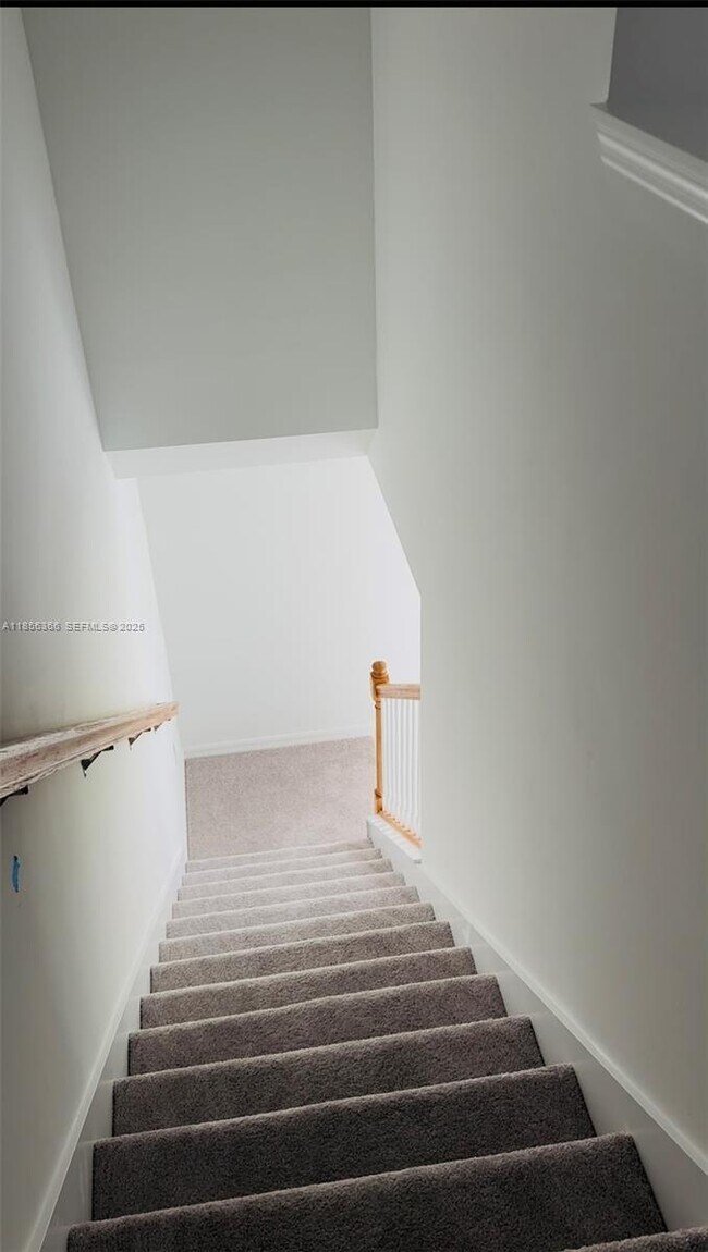 Building Photo - 4228 Caterina Ct