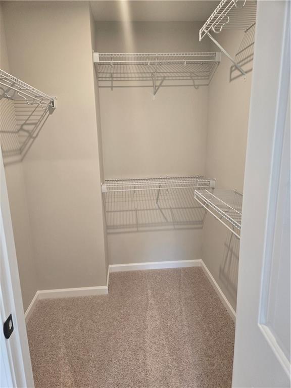 Building Photo - 102 alpine ct