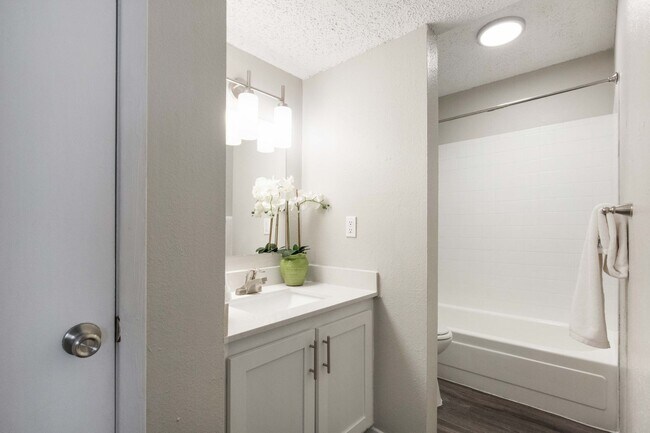 Interior Photo - Ascent At Northgate