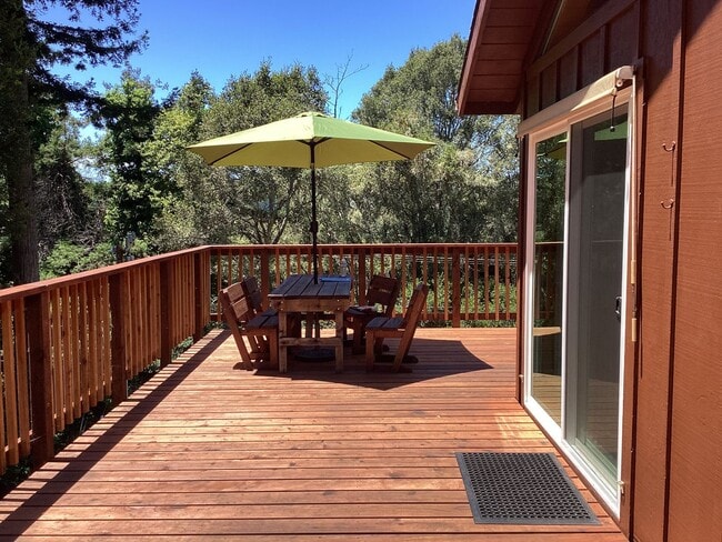 Building Photo - Sunny Redwoods